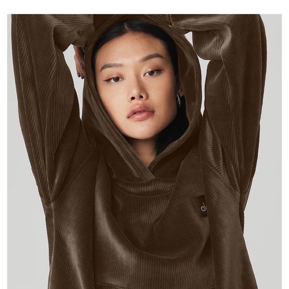 ALO Yoga Tops - Alo Yoga Velour Baller Hoodie -Sold out online